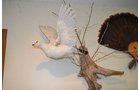 Property photo 6 - Personal Property Auction, Tractor & Implements, Cars, Lawn & Garden, Hunting & Fishing, Guns, Antiques & Collectibles, Household